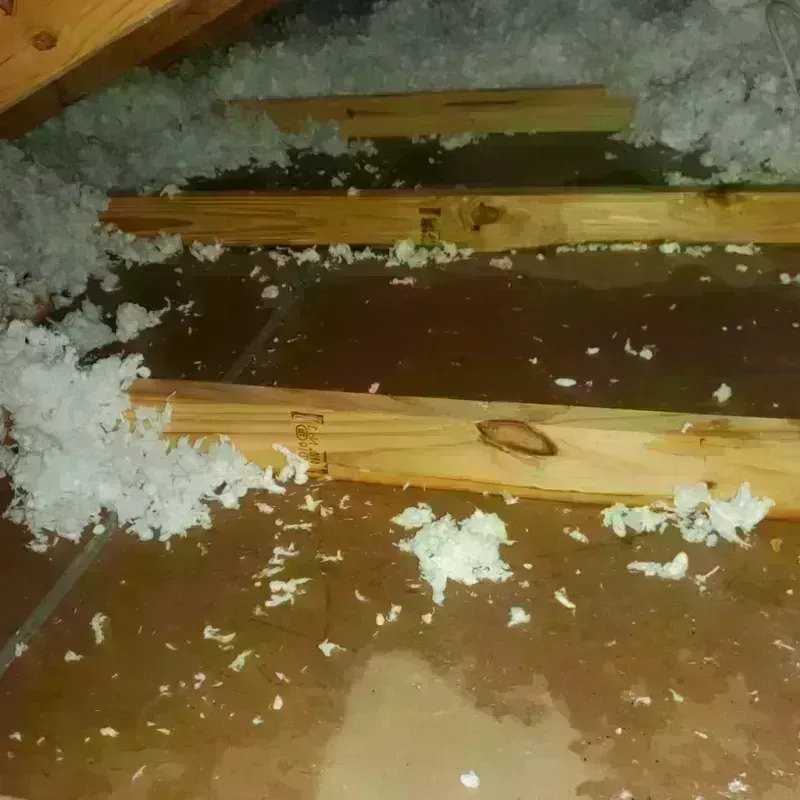 Attic Water Damage in Monterey Park, NM